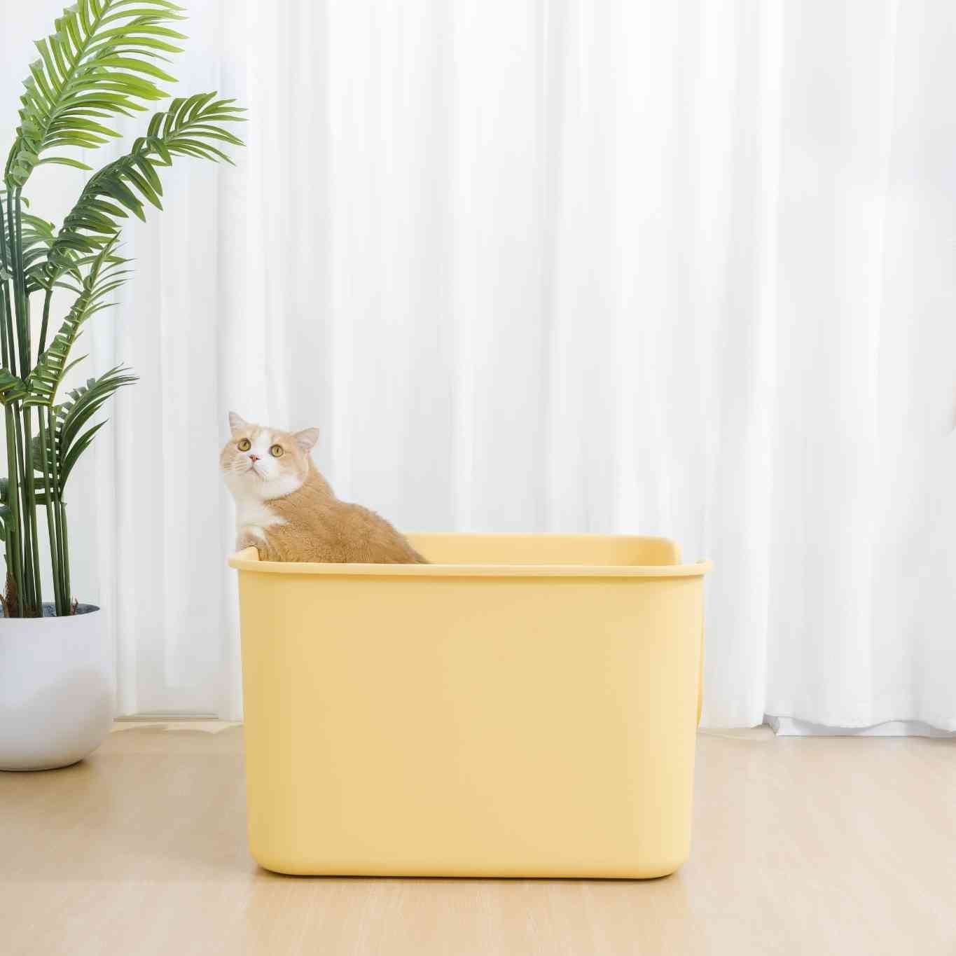 Mango Cube Litter Box XXL (Double Extra Large)