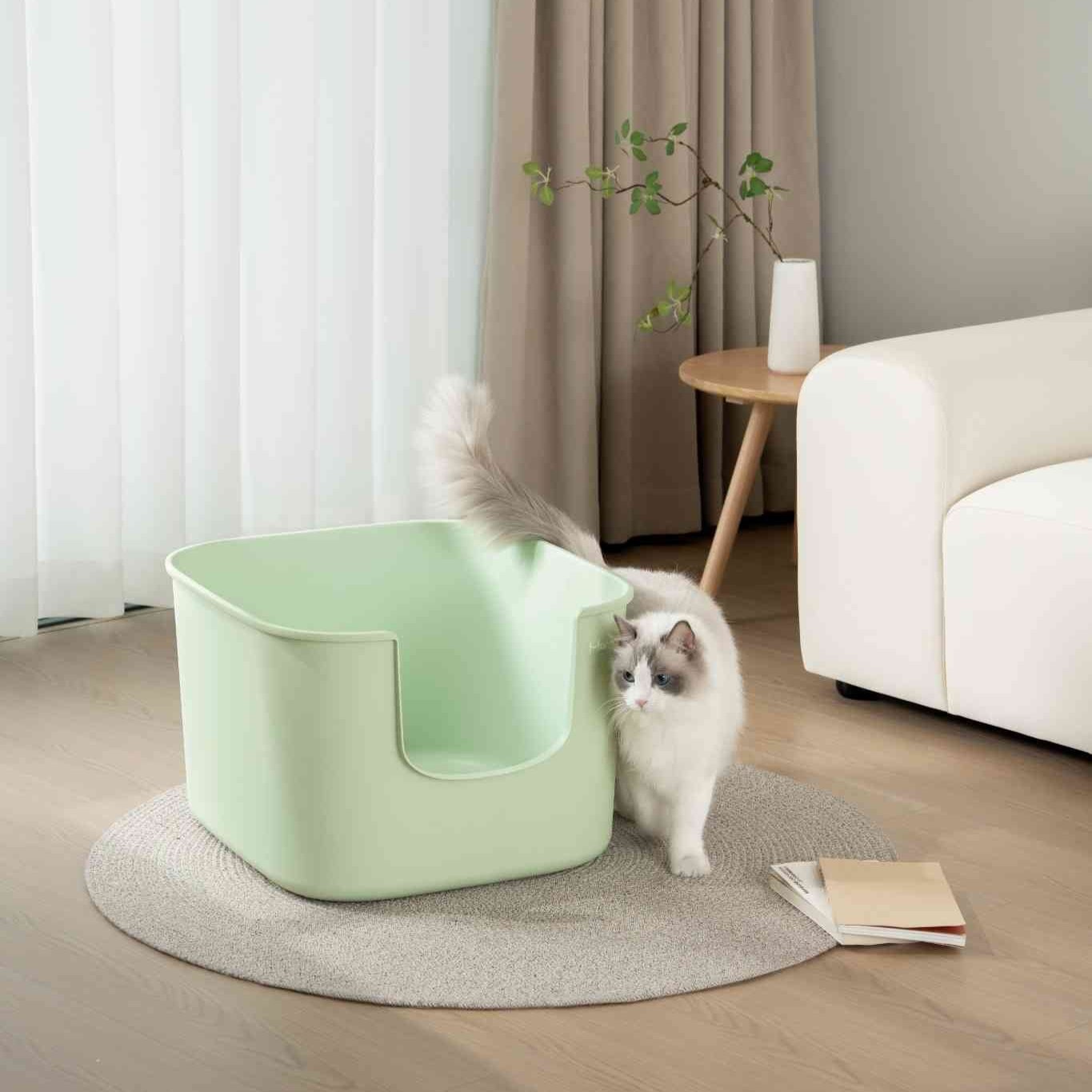 Z Mango Cube L-sized - MangoPets