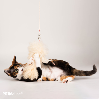 PROFELINE SHEEP´S FUR REFILL