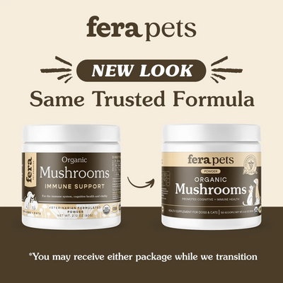 FERA USDA Organic Mushroom Blend for Immune Support