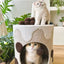 Honeypot Cat Boba Tea Cat House Tower – Milk Tea Brown - 221226a